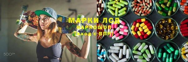 трава Беломорск