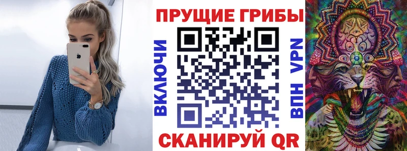 Псилоцибиновые грибы GOLDEN TEACHER Приморско-Ахтарск