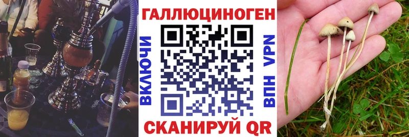 Купить  Приморско-Ахтарск  Псилоцибиновые грибы прущие грибы 
